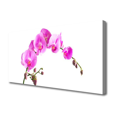 Canvas Wall art Flowers floral pink