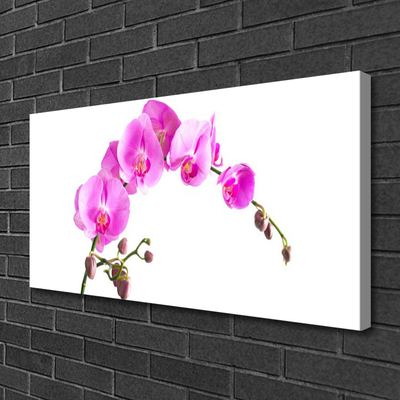 Canvas Wall art Flowers floral pink