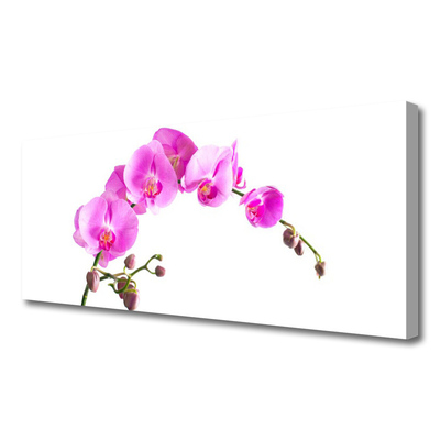 Canvas Wall art Flowers floral pink