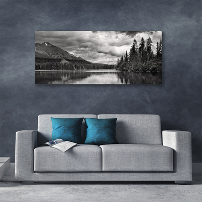 Canvas Wall art Mountain forest lake nature grey