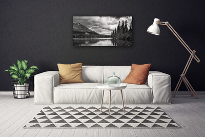 Canvas Wall art Mountain forest lake nature grey