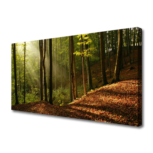 Canvas Wall art Forest nature brown green