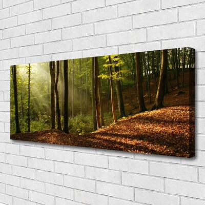 Canvas Wall art Forest nature brown green