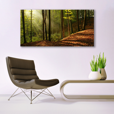 Canvas Wall art Forest nature brown green