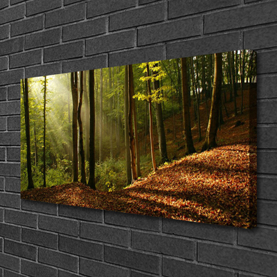 Canvas Wall art Forest nature brown green