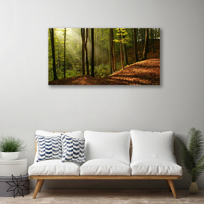 Canvas Wall art Forest nature brown green