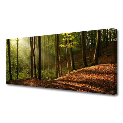 Canvas Wall art Forest nature brown green