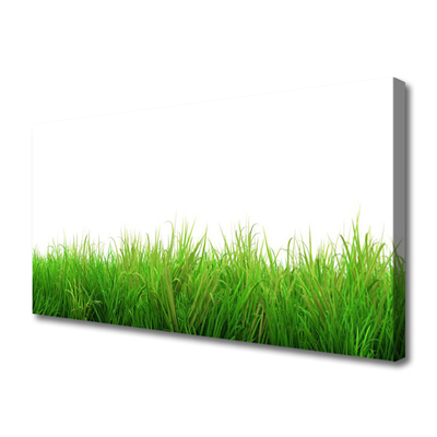 Canvas Wall art Grass nature green