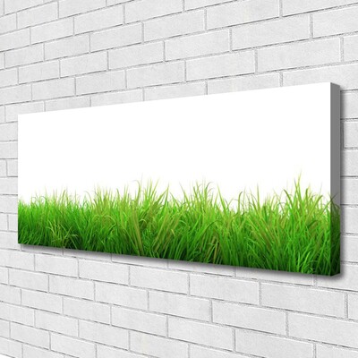 Canvas Wall art Grass nature green