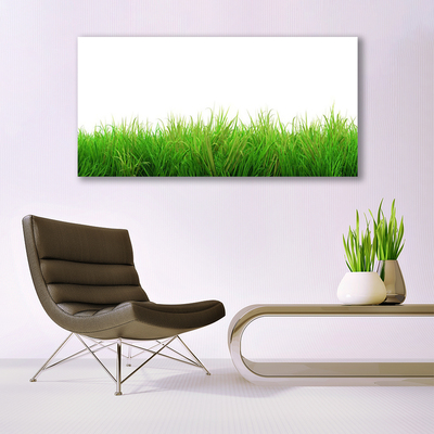 Canvas Wall art Grass nature green