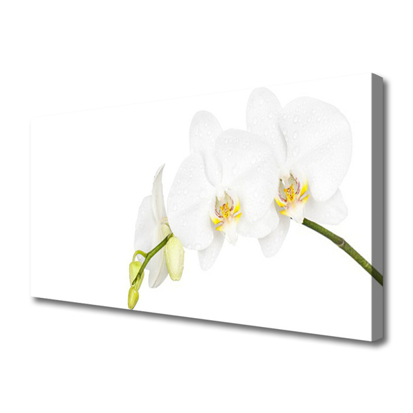 Canvas Wall art Flowers floral white