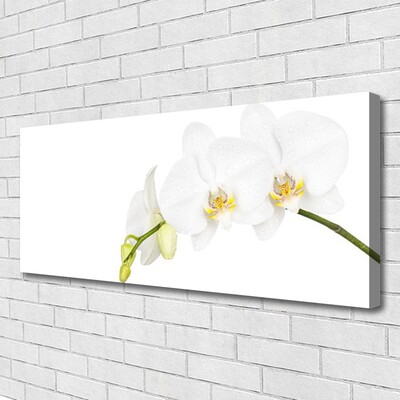 Canvas Wall art Flowers floral white