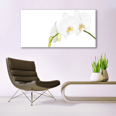 Canvas Wall art Flowers floral white