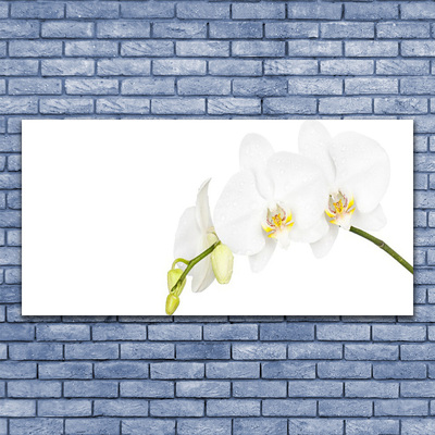 Canvas Wall art Flowers floral white