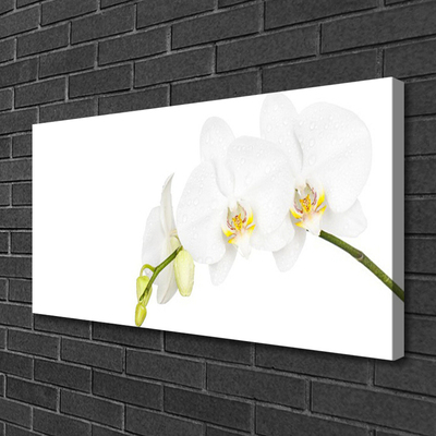 Canvas Wall art Flowers floral white