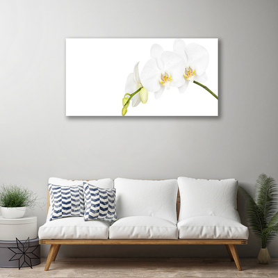 Canvas Wall art Flowers floral white