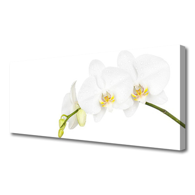 Canvas Wall art Flowers floral white