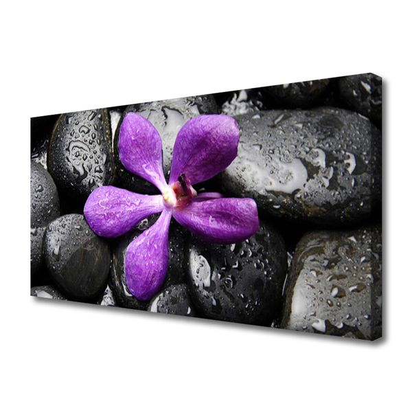 Canvas Wall art Flower stones art pink black