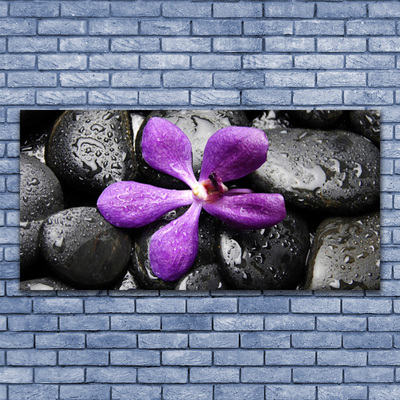 Canvas Wall art Flower stones art pink black