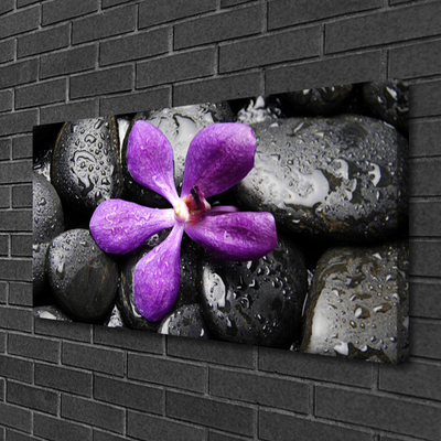 Canvas Wall art Flower stones art pink black