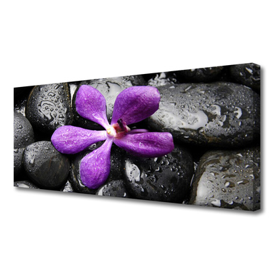 Canvas Wall art Flower stones art pink black