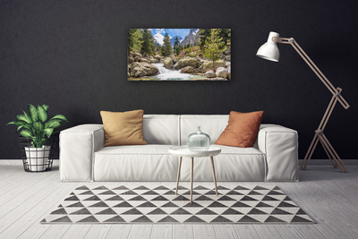 Canvas Wall art Mountain forest stones lake nature grey brown green white