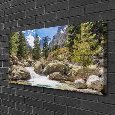 Canvas Wall art Mountain forest stones lake nature grey brown green white