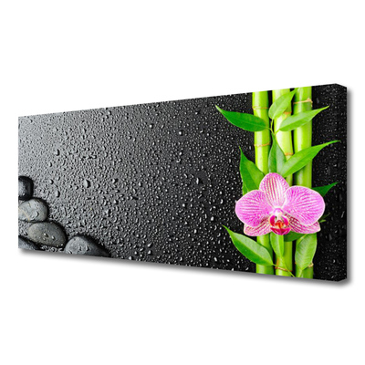 Canvas Wall art Bamboo stalk flower stones floral green pink black