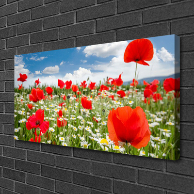 Canvas Wall art Meadow flowers nature red white green