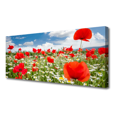 Canvas Wall art Meadow flowers nature red white green