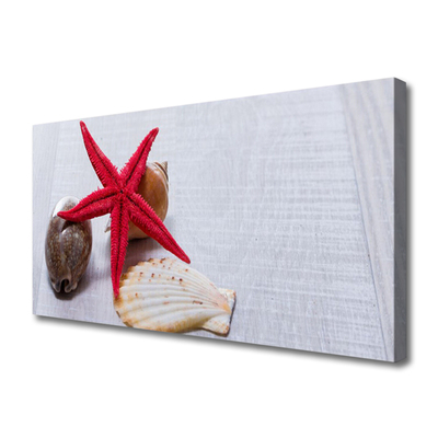 Canvas Wall art Starfish shell art red beige brown grey