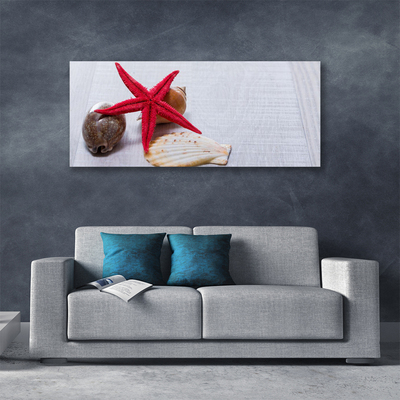 Canvas Wall art Starfish shell art red beige brown grey