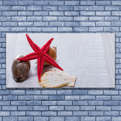 Canvas Wall art Starfish shell art red beige brown grey