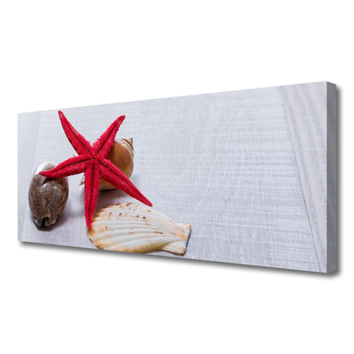 Canvas Wall art Starfish shell art red beige brown grey