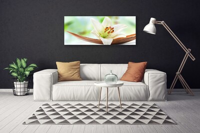 Canvas Wall art Flower floral white