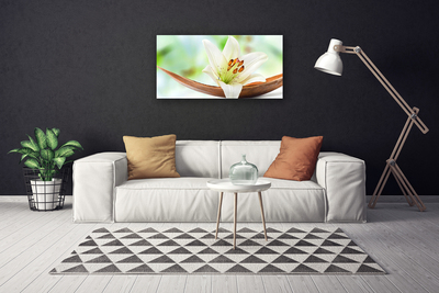 Canvas Wall art Flower floral white