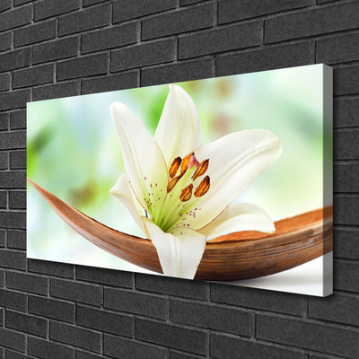 Canvas Wall art Flower floral white