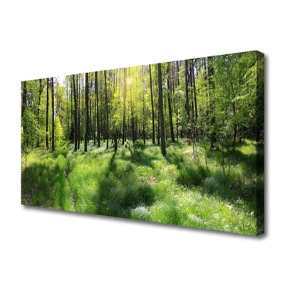 Canvas Wall art Forest nature brown green