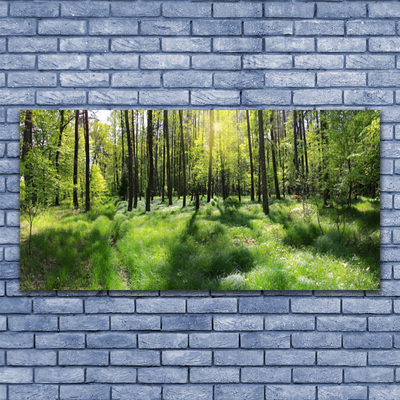 Canvas Wall art Forest nature brown green