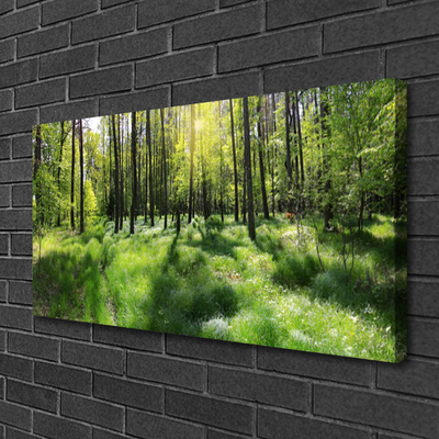 Canvas Wall art Forest nature brown green