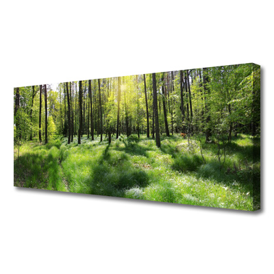 Canvas Wall art Forest nature brown green