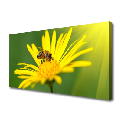 Canvas Wall art Wasp flower floral black yellow