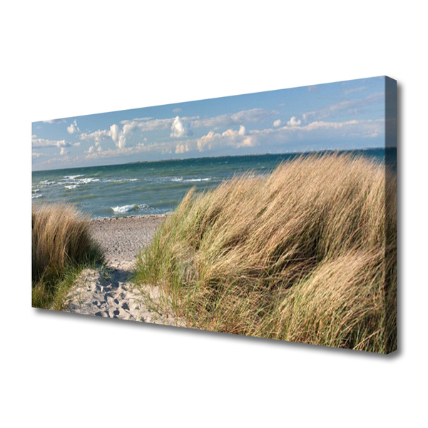 Canvas Wall art Footpath sea grass landscape brown blue green