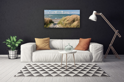 Canvas Wall art Footpath sea grass landscape brown blue green