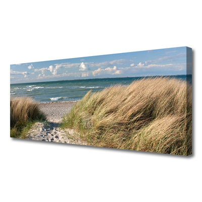 Canvas Wall art Footpath sea grass landscape brown blue green