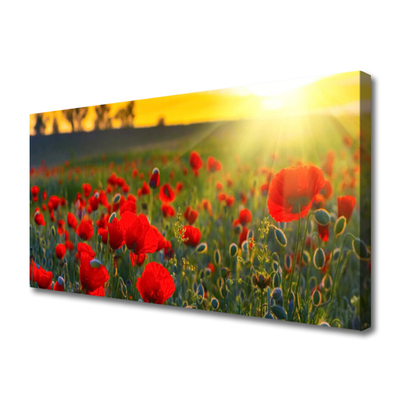 Canvas Wall art Meadow flowers nature red green