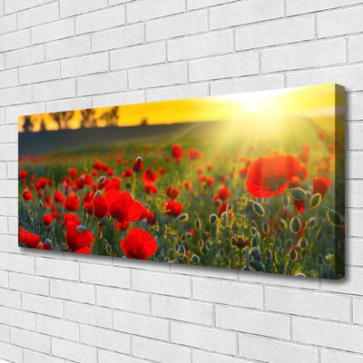 Canvas Wall art Meadow flowers nature red green