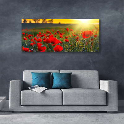 Canvas Wall art Meadow flowers nature red green