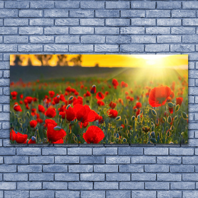 Canvas Wall art Meadow flowers nature red green