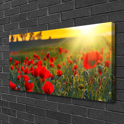 Canvas Wall art Meadow flowers nature red green